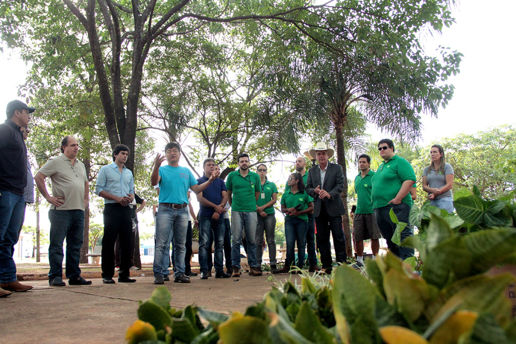 Segunda ação do Projeto “Áreas Mais Verdes” da Secretaria de Meio Ambiente será no Jardim Maristela