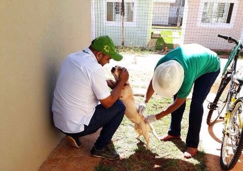 Equipes da Saúde estarão na feira de sábado vacinando cães e gatos Equipes da Saúde estarão na feira de sábado vacinando cães e gatos