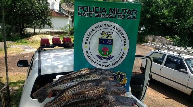PMA bate recordes no 1º mês de Piracema com 1,2 tonelada de pescado apreendida e R$ 110 mil em multas PMA bate recordes no 1º mês de Piracema com 1,2 tonelada de pescado apreendida e R$ 110 mil em multas