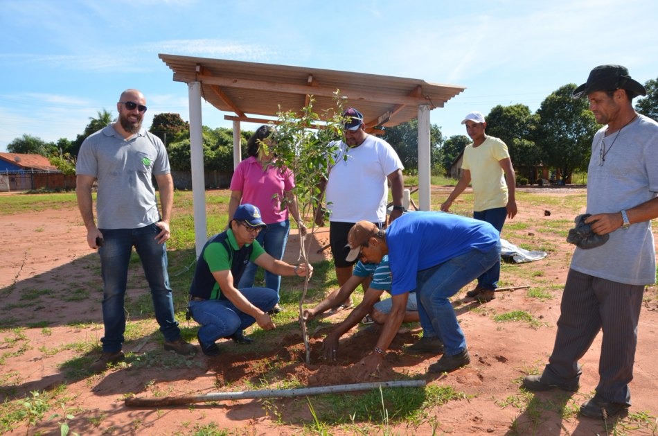 Projeto Áreas Mais Verdes realiza plantio de árvores no campo do Bairro Santa Rita
