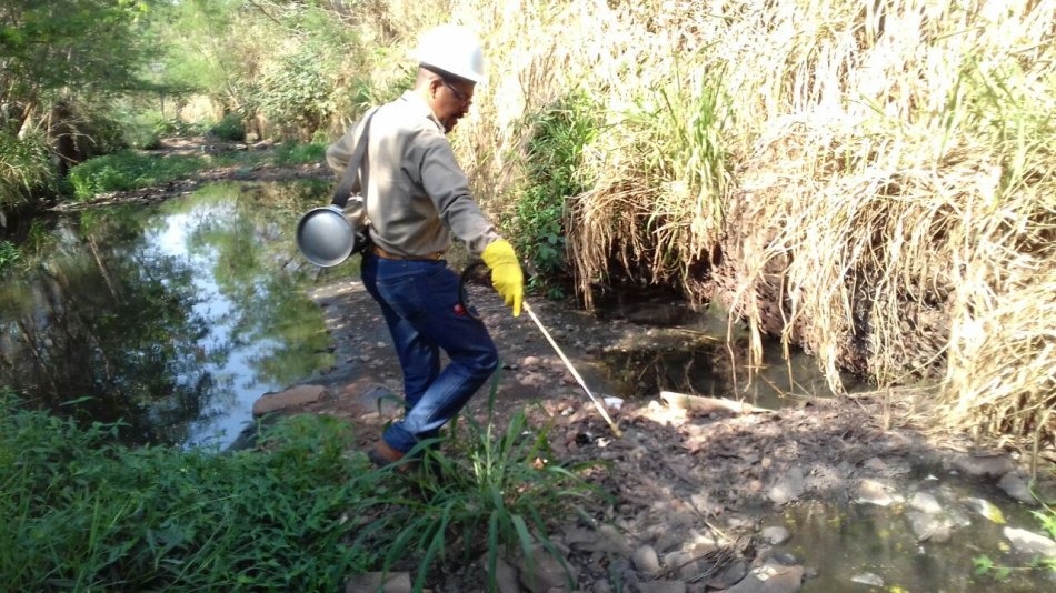 Índices de dengue e leishmaniose continuam estáveis em Três Lagoas