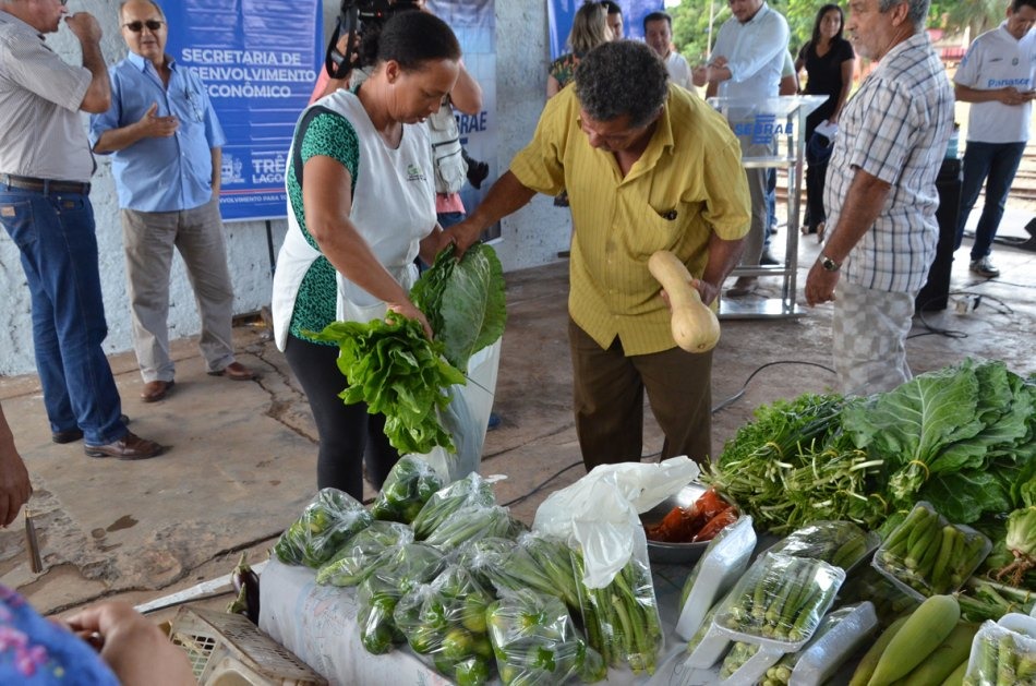 Prefeito e secretário de Meio Ambiente de Três Lagoas buscam recursos federais para agricultura familiar Prefeito e secretário de Meio Ambiente de Três Lagoas buscam recursos federais para agricultura familiar