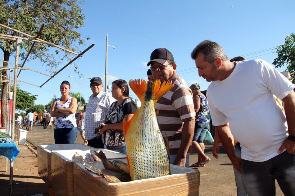 5ª Feira do Peixe poderá comercializar até 15 toneladas de pescado 5ª Feira do Peixe poderá comercializar até 15 toneladas de pescado