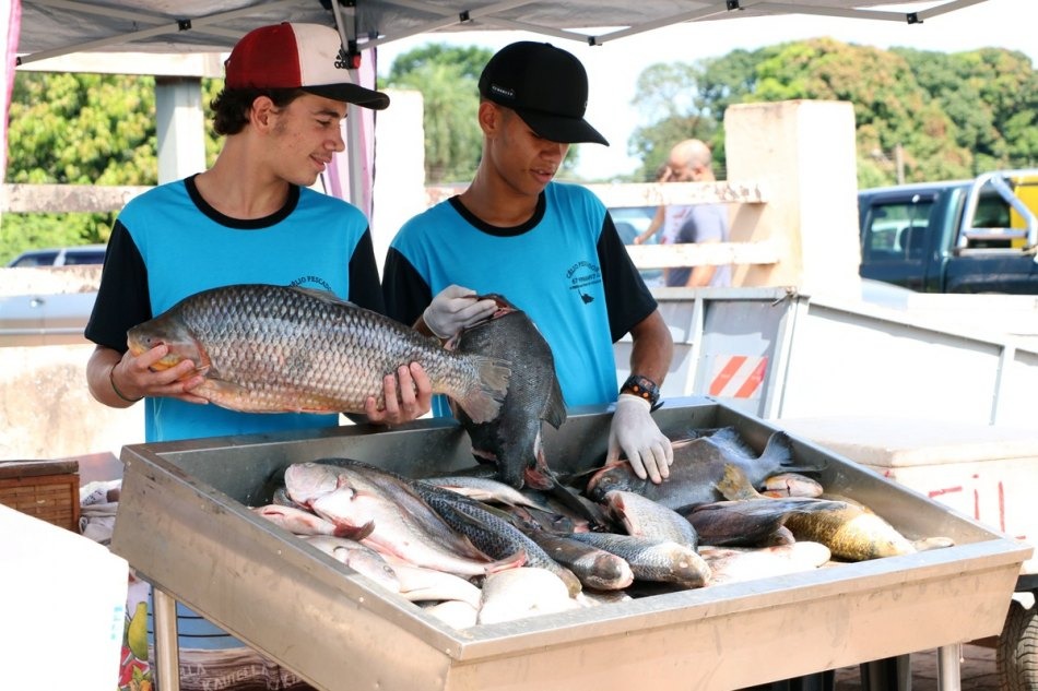 A 5ª Feira do Peixe recebe cerca de 4 mil clientes em Três Lagoas A 5ª Feira do Peixe recebe cerca de 4 mil clientes em Três Lagoas