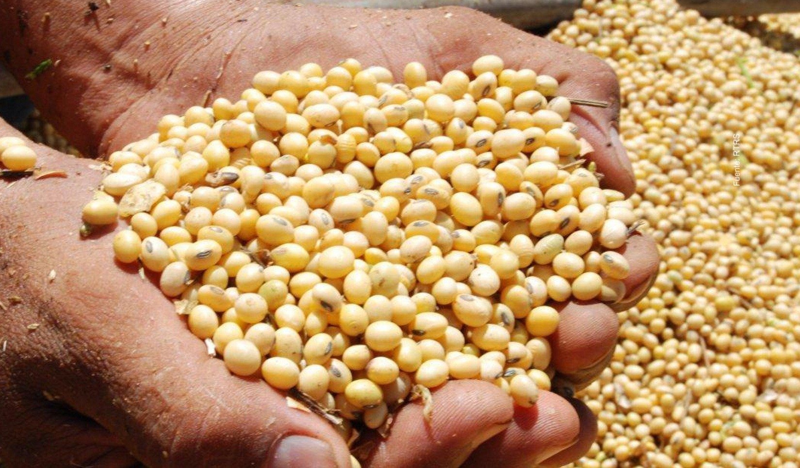 Soja volta a ser principal produto exportado por MS Soja volta a ser principal produto exportado por MS