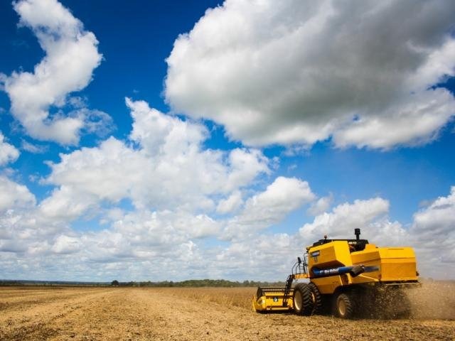 Estimativa da produção agrícola de MS é reduzida em 7% pelo IBGE