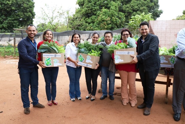 Hortaliças são distribuídas aos SCFVs de Três Lagoas