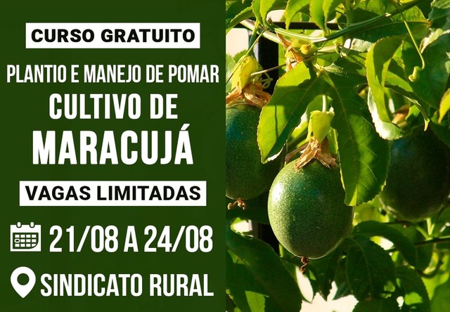 Sindicato Rural fará curso sobre cultivo de maracujá em Três Lagoas