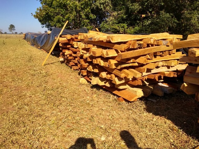 Empresa é multada em mais de R$ 20 mil por exploração ilegal de madeira