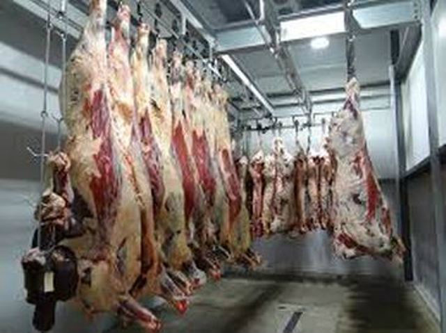 Frigoríficos do Estado do Paraná são liberados após auditoria e voltam exportar