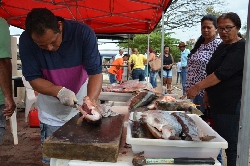 Interessados em participar da 4ª Feira do Peixe de Três Lagoas devem procurar a SEDECT até o dia 10