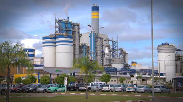 Açúcar e celulose puxam balança comercial e MS registra superávit de US$ 252 mi