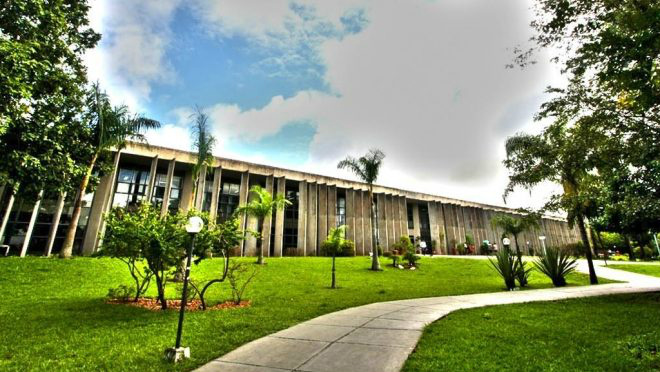 Assembleia aprova projeto da Bolsa-Atleta e Bolsa-Técnico em primeira discussão Assembleia aprova projeto da Bolsa-Atleta e Bolsa-Técnico em primeira discussão