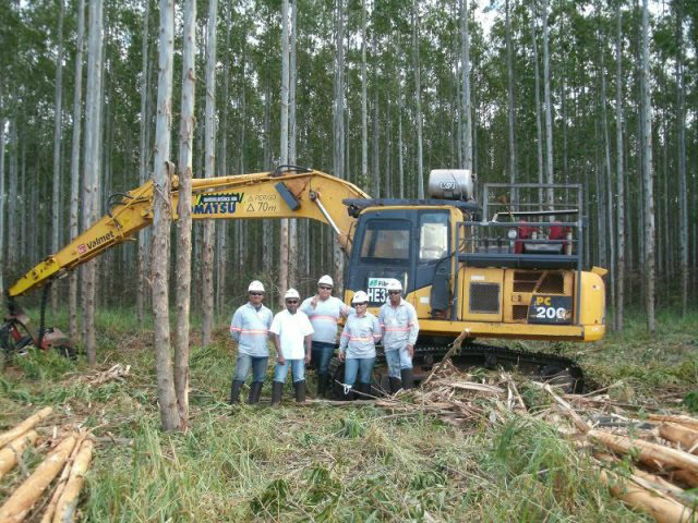 Fibria abre vagas para operadores de máquinas florestais em Três Lagoas Fibria abre vagas para operadores de máquinas florestais em Três Lagoas
