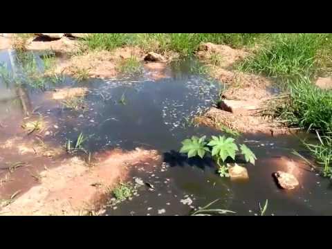 Cansado de esperar por solução de esgoto jorrando a céu aberto, empresário faz vídeo denunciando Cansado de esperar por solução de esgoto jorrando a céu aberto, empresário faz vídeo denunciando